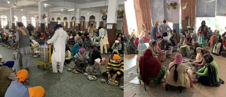 Amritsar 14k