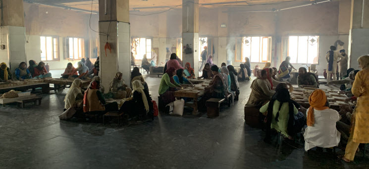 Amritsar 15k