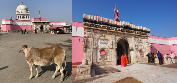 Deshnoke Karni Mata Tempel 1k