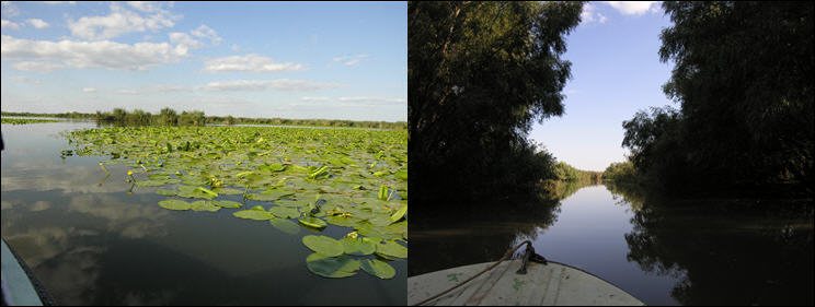 Donaudelta1