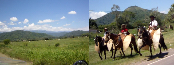 Grasende Pferde & Gauchos