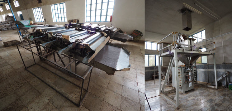 IR_Tee_3_Ausscheidung+Verpacken_k