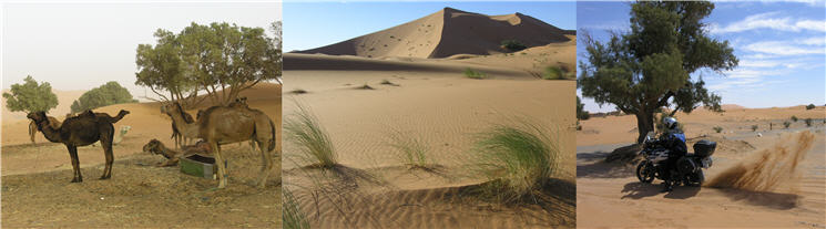 Merzouga_k Merzouga_k