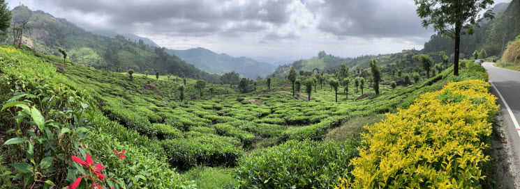 Munnar_1k