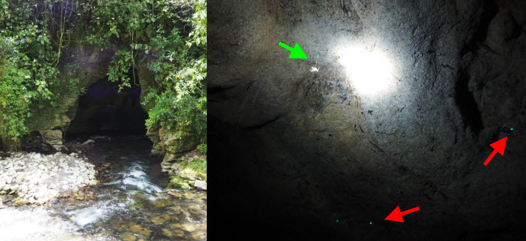 PC304062_Waitomo_k2