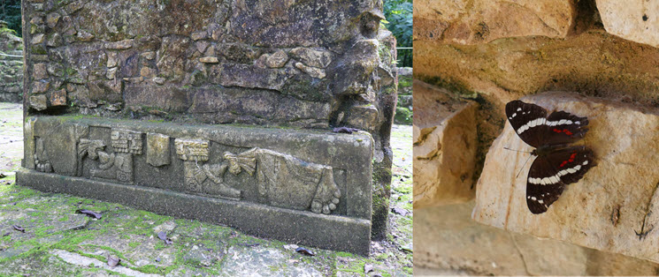Palenque_5k Palenque_5k