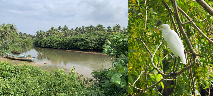 Poovar_4k