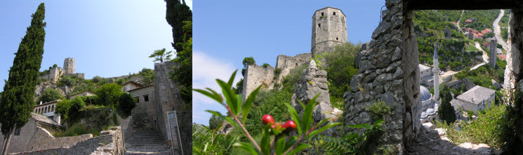 Positelj_k Positelj_k