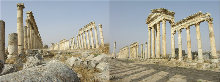 Sy_Apamea_k Sy_Apamea_k