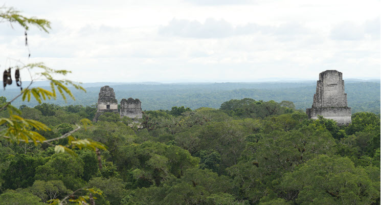 Tikal_0k Tikal_0k