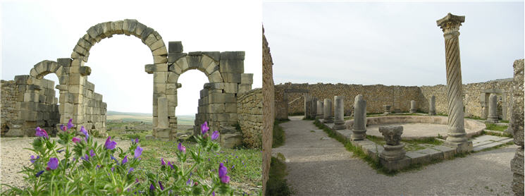 Volubilis_3_k Volubilis_3_k